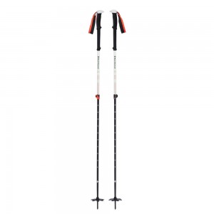 Black Men's Black Diamond Expedition 2 Ski Poles | JO427596