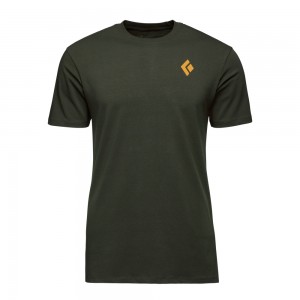 Black Men's Black Diamond Mountain Badge T Shirts | DX025859