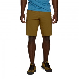 Brown Men's Black Diamond Valley Shorts | QT597640