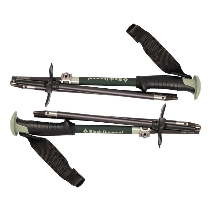 Black Men's Black Diamond Compactor Ski Poles | JN710843