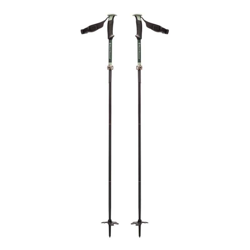 Black Men's Black Diamond Compactor Ski Poles | JN710843