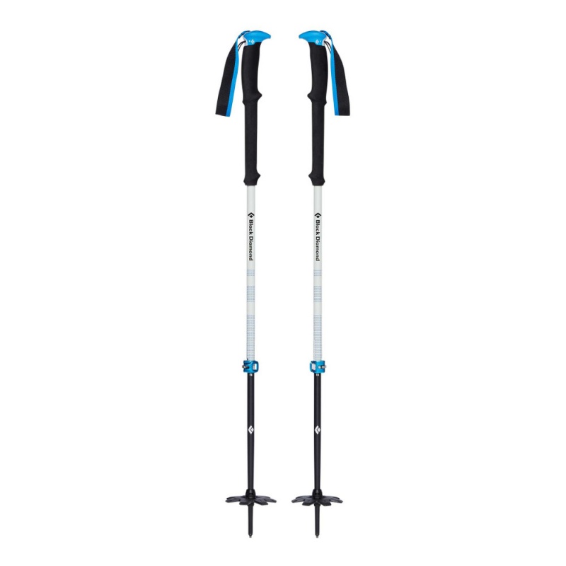 Black Men's Black Diamond Expedition 2 Pro Ski Poles | ND950457