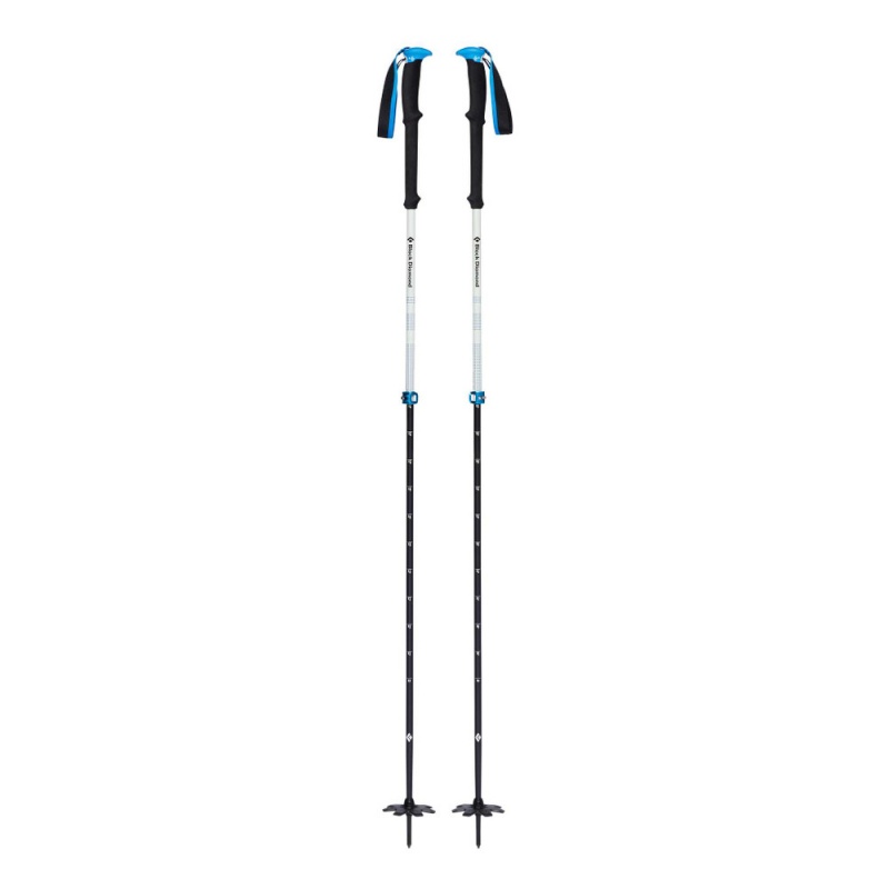 Black Men\'s Black Diamond Expedition 2 Pro Ski Poles | ND950457