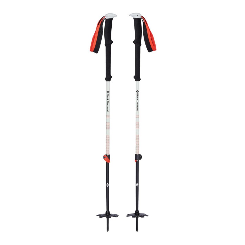 Black Men's Black Diamond Expedition 2 Ski Poles | JO427596