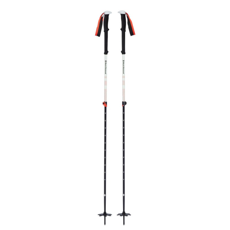 Black Men\'s Black Diamond Expedition 2 Ski Poles | JO427596