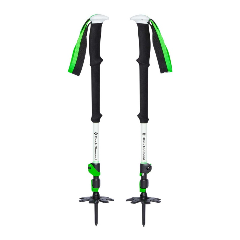 Black Men's Black Diamond Expedition 3 Ski Poles | US849829